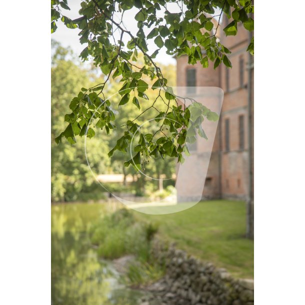 Natur ved Rosenholm