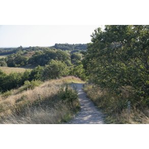 Agri Bavneh�j i Nationalpark Mols Bjerge