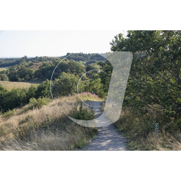 Agri Bavneh�j i Nationalpark Mols Bjerge