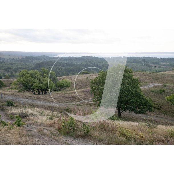 Agri Bavneh�j i Nationalpark Mols Bjerge