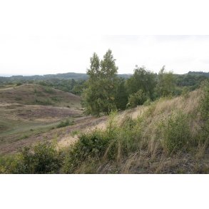 Agri Bavneh�j i Nationalpark Mols Bjerge