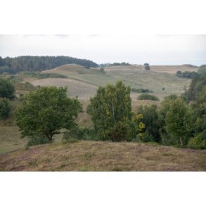 Agri Bavneh�j i Nationalpark Mols Bjerge