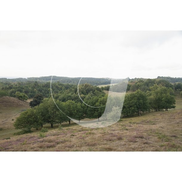 Agri Bavneh�j i Nationalpark Mols Bjerge