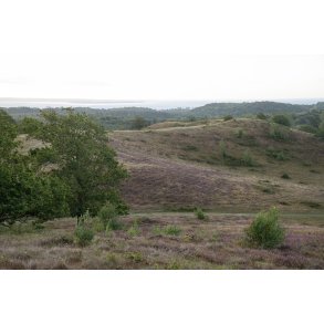 Agri Bavneh�j i Nationalpark Mols Bjerge