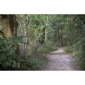 Agri Bavneh�j i Nationalpark Mols Bjerge