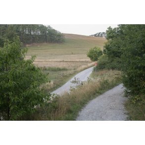 Nationalpark Mols Bjerge