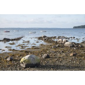 Uggelb�lle Strand