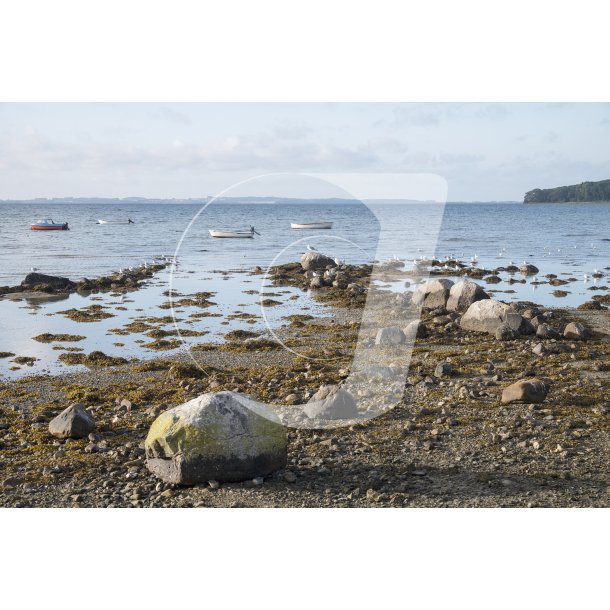 Uggelb�lle Strand