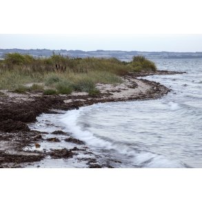 Efter�rsaften ved F�lle Strand