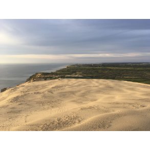 Klitlandskabet ved Rubjerg Knude Fyr