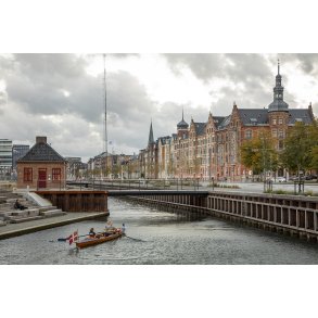 Rob�d i kanalerne ved Aarhus �