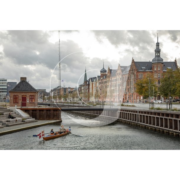 Robd i kanalerne ved Aarhus 