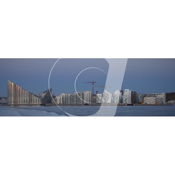 Aftenstemning ved Aarhus 