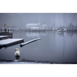 Vinterstemning i havnen ved Aarhus �