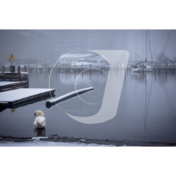 Vinterstemning i havnen ved Aarhus 