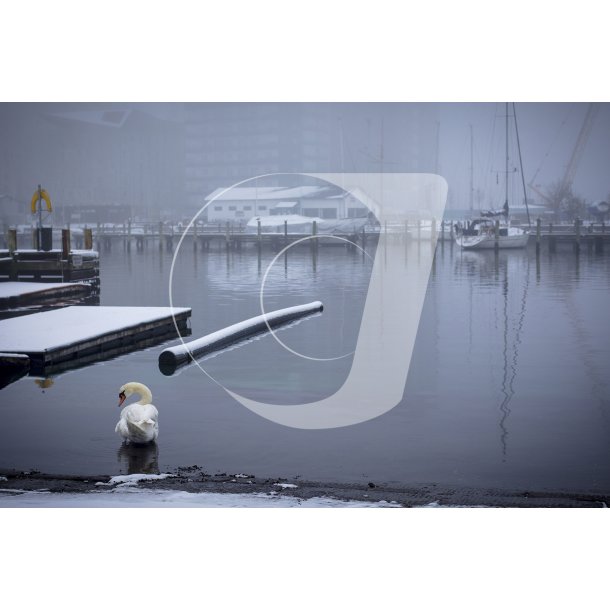 Vinterstemning i havnen ved Aarhus 