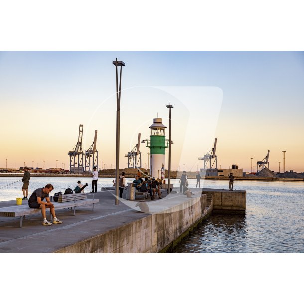 Aarhus Havn