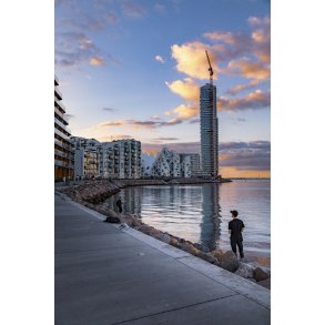 Aftenstemning ved Aarhus �