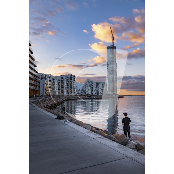 Aftenstemning ved Aarhus 