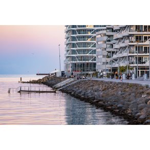 Aftenstemning ved Aarhus �