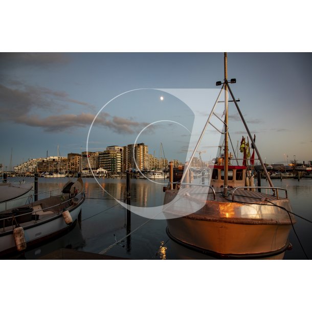 Aarhus havn ved Aarhus 