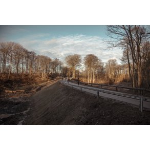 D�mningen over Giber � bag Vilhelmsborg