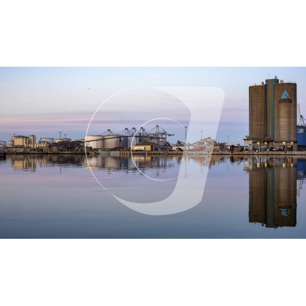 Aarhus havn