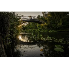 Buebroen over N�rre� i Fladbro