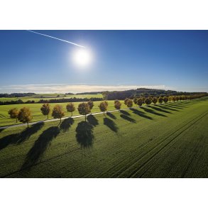 Drone foto af all&egrave; ved Skalmstrup