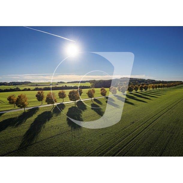Drone foto af all&egrave; ved Skalmstrup
