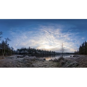 Vinterstemning ved Moss i Rold skov