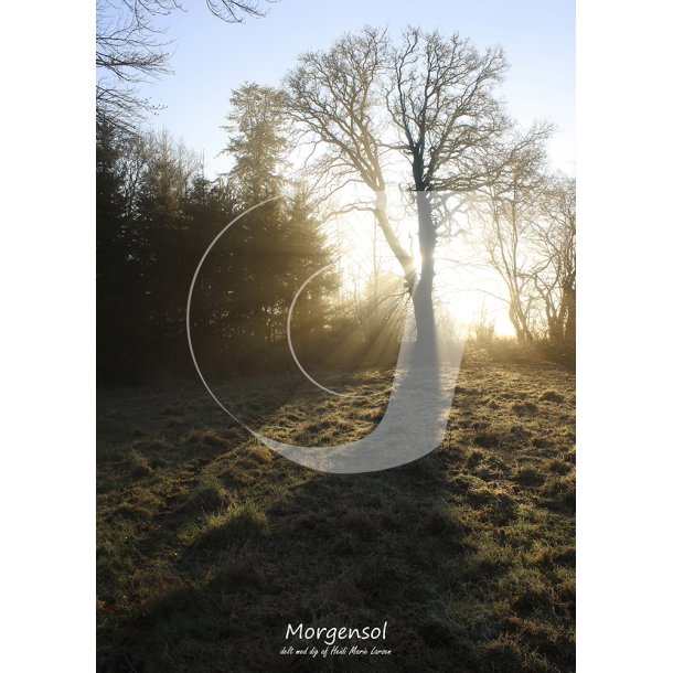 Morgensol