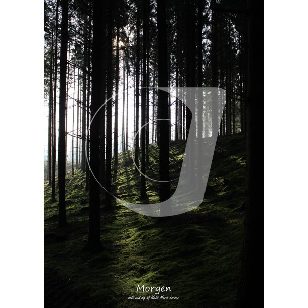 Morgen