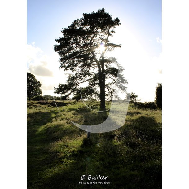  Bakker