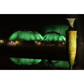 Krukken og Randers Regnskov