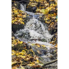 Till�b til Tvede �, som er rent kildevand og vigtigt gyde vand i Naturpark Randers Fjord