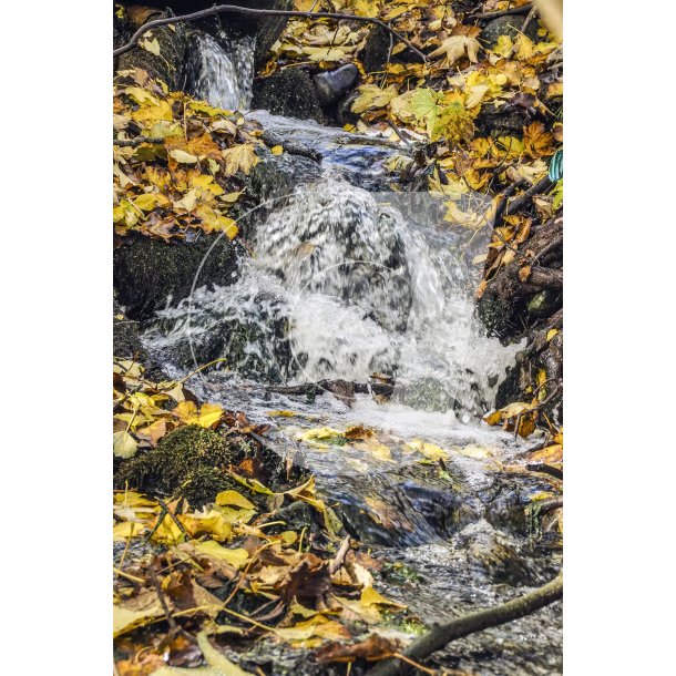 Tillb til Tvede , som er rent kildevand og vigtigt gyde vand i Naturpark Randers Fjord