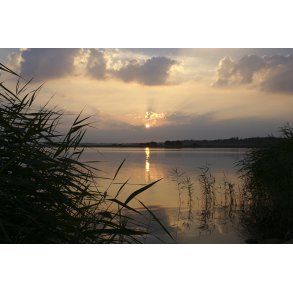 Morgenstund ved f�rgelejet i Mellerup ved Naturpark Randers Fjord