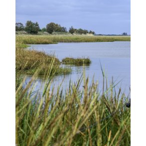 Kanten af strandengene ved Skallehusene n�r S�dring i Naturpark Randers Fjord