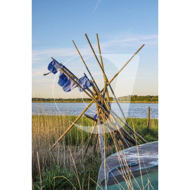 Bundgarnsple ved Mellerup i Naturpark Randers Fjord
