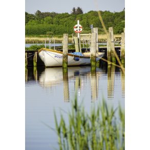 Travaljen Sleipner i Mellerup F�rgeleje i Naturpark Randers Fjord