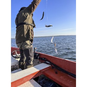 Makrelfiskeri en tidlig morgen ud for Udbyh�j i Naturpark Randers Fjord.