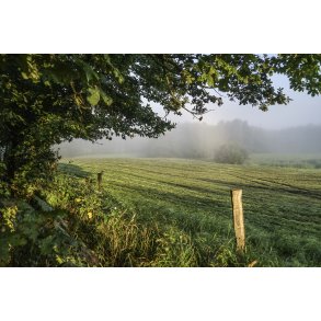Meget tidlig morgen, n�r Tvede i Naturpark Randers Fjord