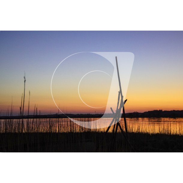 Morgenstund ved Randers Fjord i Naturpark Randers Fjord