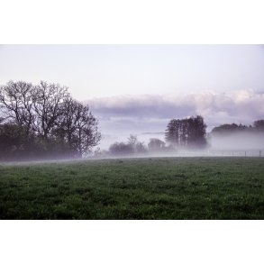 Morgent�ge over Tvede �dal i Naturpark Randers Fjord
