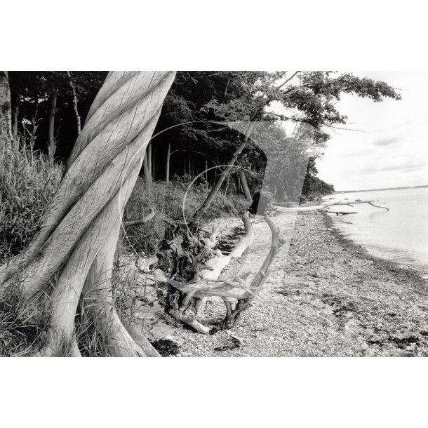 Fljstrup strand
