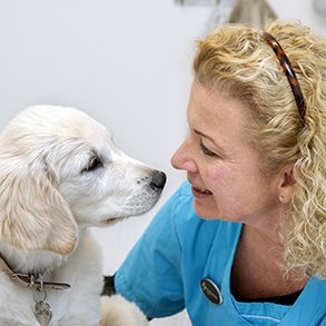 Vorup Dyrehospital ved Randers